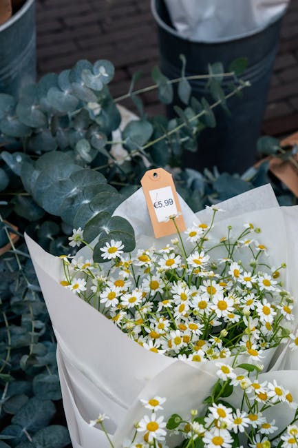 A bouquet of fresh chamomile flowers with white petals and yellow centers, wrapped in white tissue paper and displaying a price tag of £5.99, is placed among eucalyptus foliage with rounded, silver-g