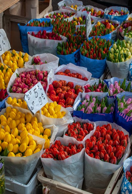 A vibrant display of freshly cut tulips arranged in large paper wrappers at a local flower market, featuring a variety of colors including yellow, red, pink, orange, and purple. The tulips are organiz