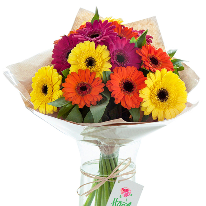 Standing against a pure white backdrop, this opulent Gerbera daisy bouquet is an embodiment of Eastcote's cheerful, neighbourly charm. About a dozen bold Gerberas take centre stage, their wide, multi-layered petals in radiant yellow, energetic orange, and deep fuchsia reaching outward in celebration. Each bloom is crowned by a pronounced black or dark brown center, anchoring the lively palette in classic contrast. Fern-like green accents and glossy leaves nestle tightly among the flowers, lending depth and freshness reminiscent of the lush greenery found around Eastcote's parks. Wrapped in subtly mottled, light brown kraft paper and finished with a layer of clear cellophane, the bouquet combines rural English warmth with sophisticated flair. The wrapping fans outward, gently cradling the blossoms. Long, healthy stems extend downward into an hourglass-shaped glass vase partially filled with fresh water, reflecting the light and underscoring the arrangement's vitality. Tied around the neck of the vase is a simple raffia or twine bow, from which hangs a petite, rectangular gift tag displaying a stylised red rose and part of the text 'hand-tied'. The overall effect suggests a gift lovingly made for someone special, perfect for a local Eastcote delivery to commemorate milestones, express gratitude, or add a burst of happiness to a home. Every detail-from the vivid colour harmony to the artisan wrapping-speaks to the careful hand of a florist rooted in the Eastcote community.